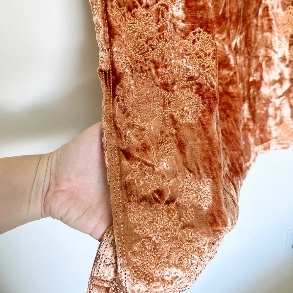 Anthropologie Lucie Embroidered Velvet Slip Midi Petite Dress - Picture 6 of 10